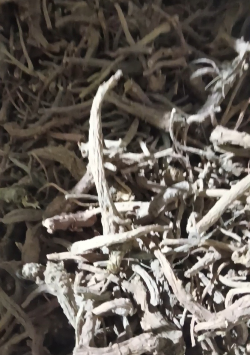 前胡/产地直供/欢迎合作采购/保质保交量/量大从优