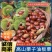 《炒货店专用》山东栗子/板栗/3113品种多样/全国发货