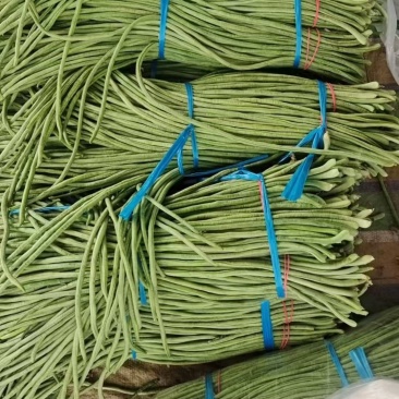 长豆角，山西长豆角，产地直供，一手货源，可视频看货