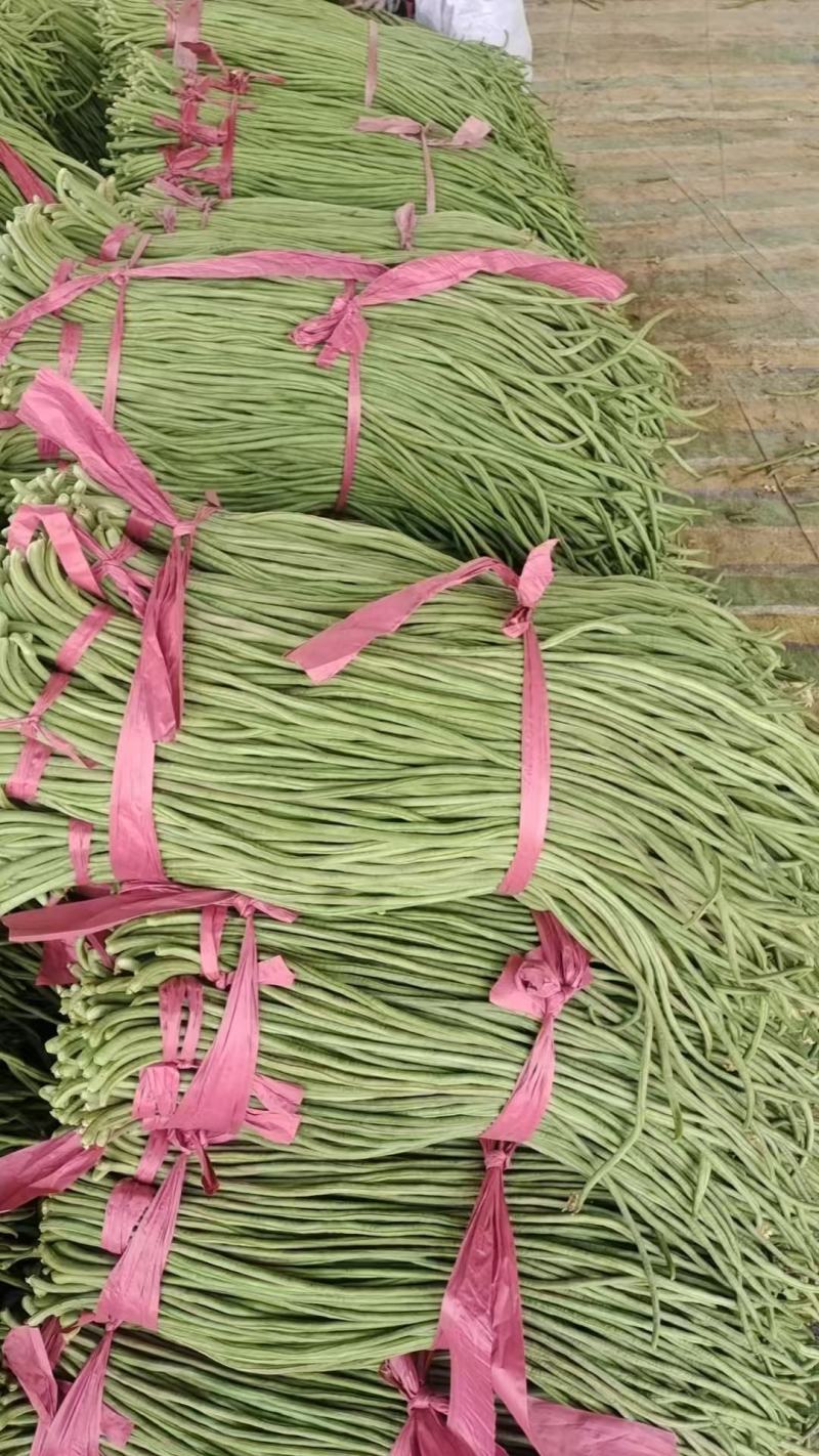 长豆角，山西长豆角，产地直供，一手货源，可视频看货