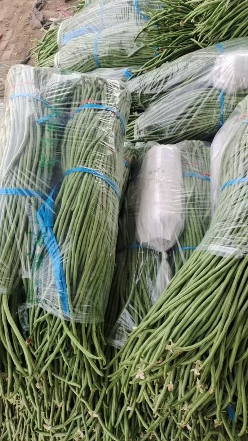长豆角，山西长豆角，产地直供，一手货源，可视频看货