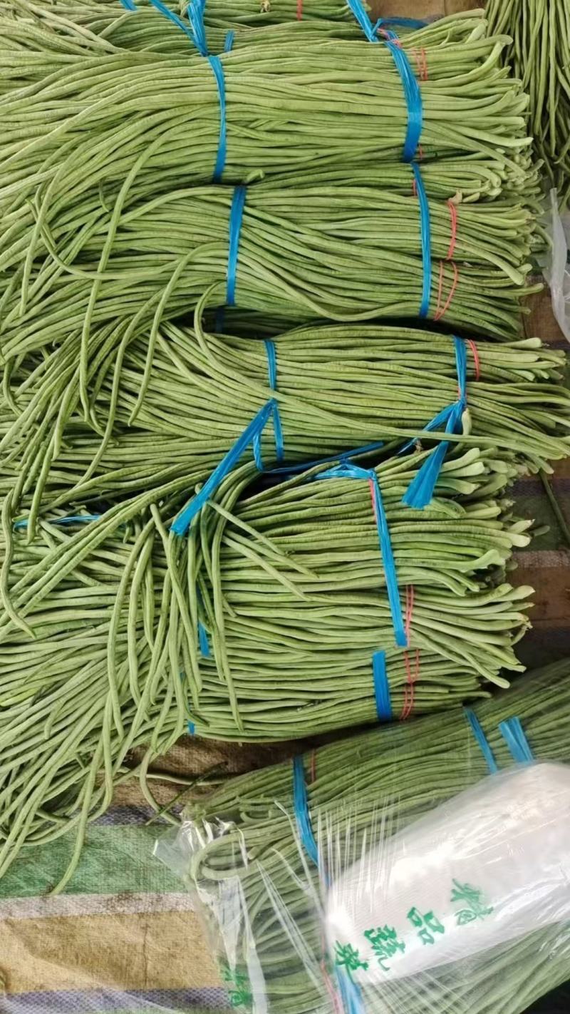 长豆角，山西长豆角，产地直供，一手货源，可视频看货