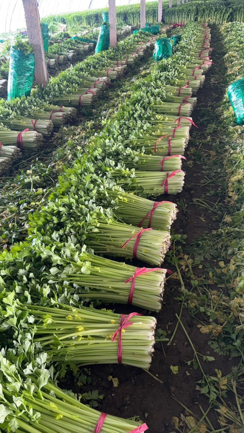 芹菜，要的联系