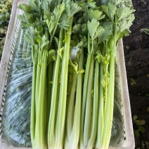 芹菜，要的联系