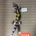 豹纹守宫