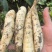 无渣竹芋！冬粉薯！