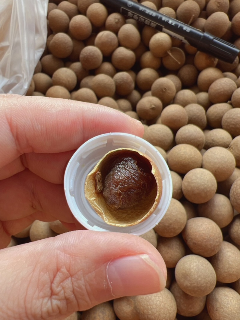 桂圆干批发地摊电商批发桂圆肉干带壳龙眼干桂圆干龙眼干