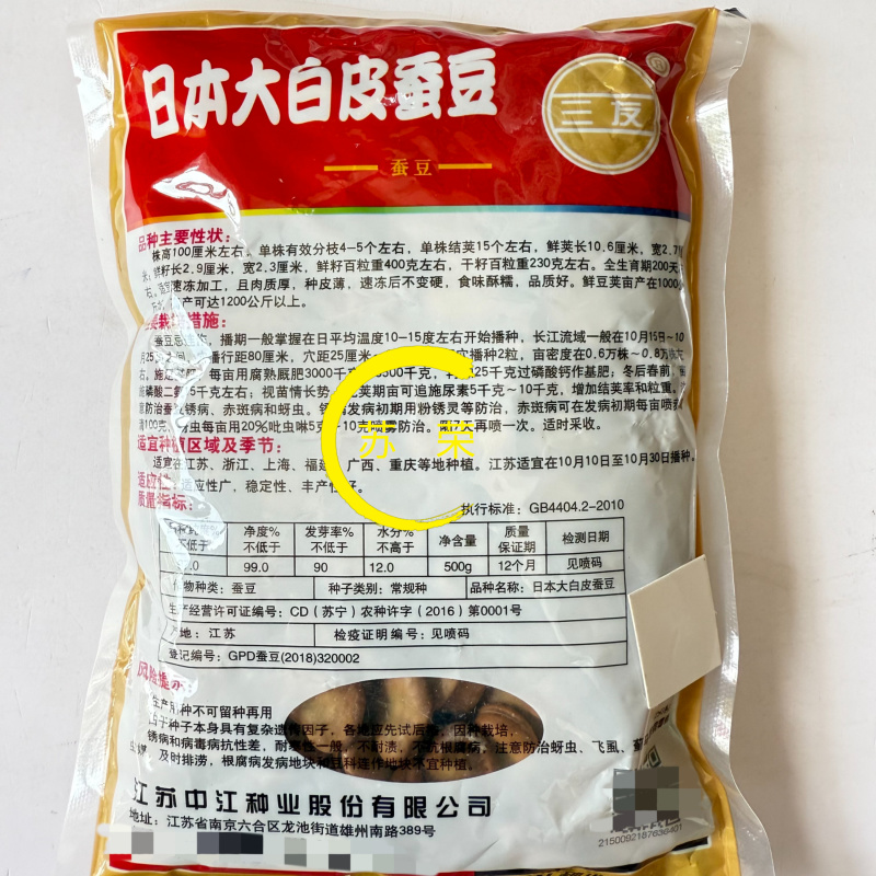 日本大白皮蚕豆种子大板胡豆种籽大粒高产口感绵软香糯
