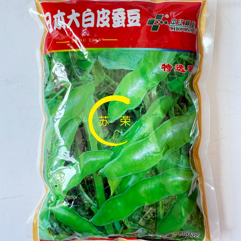 日本大白皮蚕豆种子大板胡豆种籽大粒高产口感绵软香糯