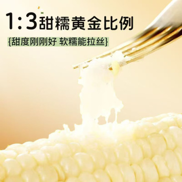 25年头茬东北糯玉米，半小时内锁鲜！！