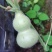 小葫芦