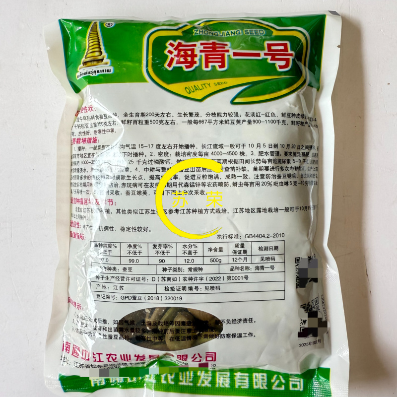 海青一号蚕豆种子优质高产耐寒抗病商性佳农家秋季播种