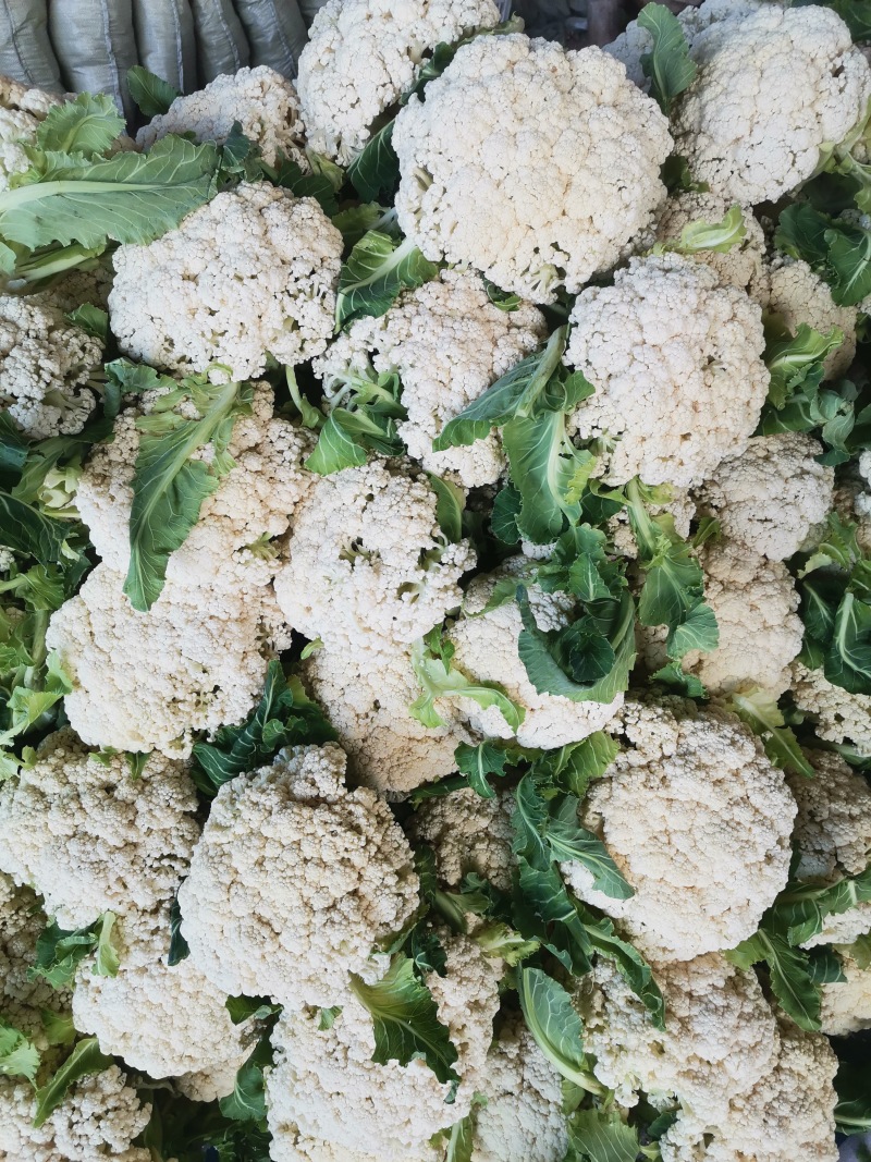 徐州有机花菜10月份大量上市，欢迎新老客户砸单