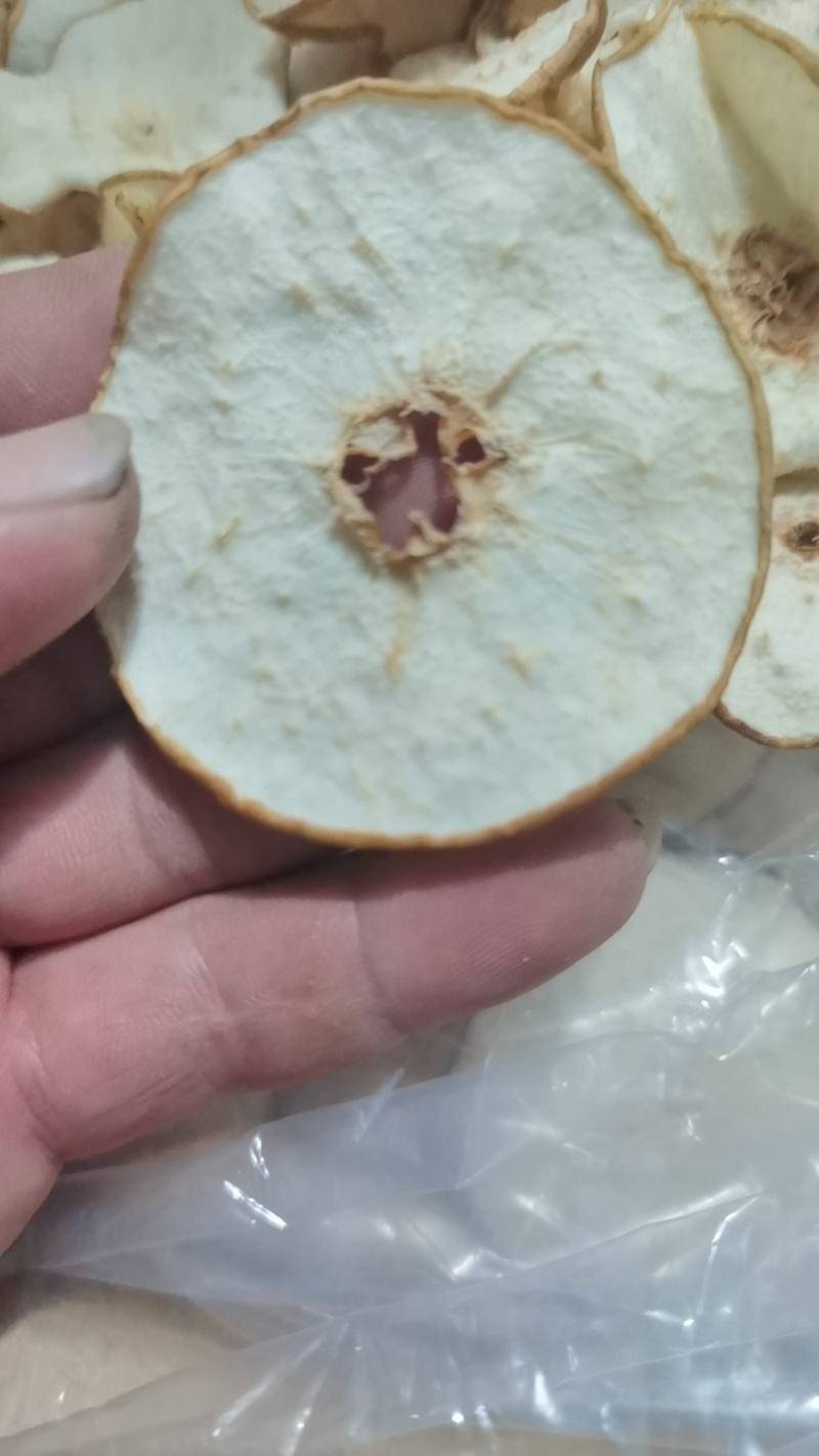 正宗无硫赵县雪梨干低温烘干技术无硫加工健康量大价格可以谈