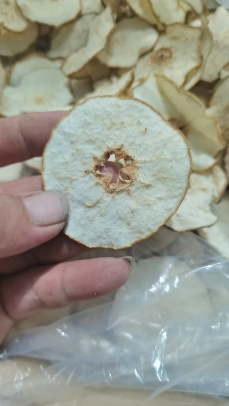 正宗无硫赵县雪梨干低温烘干技术无硫加工健康量大价格可以谈