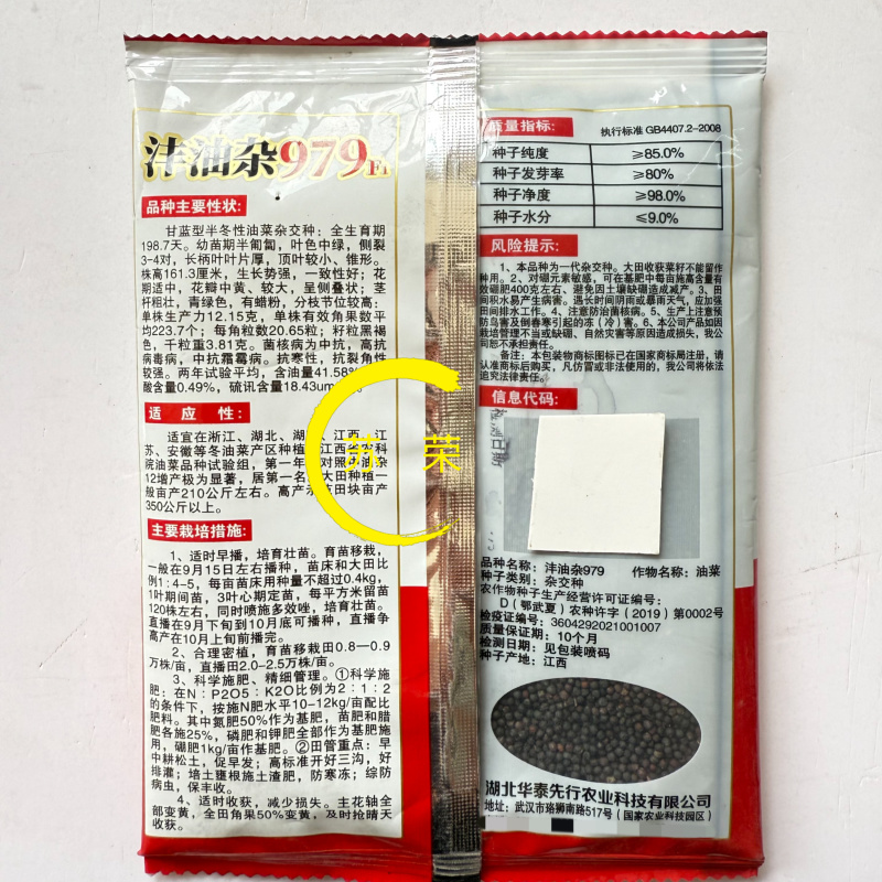 沣油杂979油菜种子秋季高产油多矮杆不倒伏油菜花孑