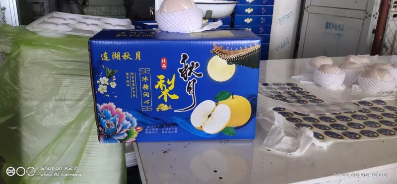《畅销推荐》正宗山东秋月梨基地直发对接商超团购一条龙