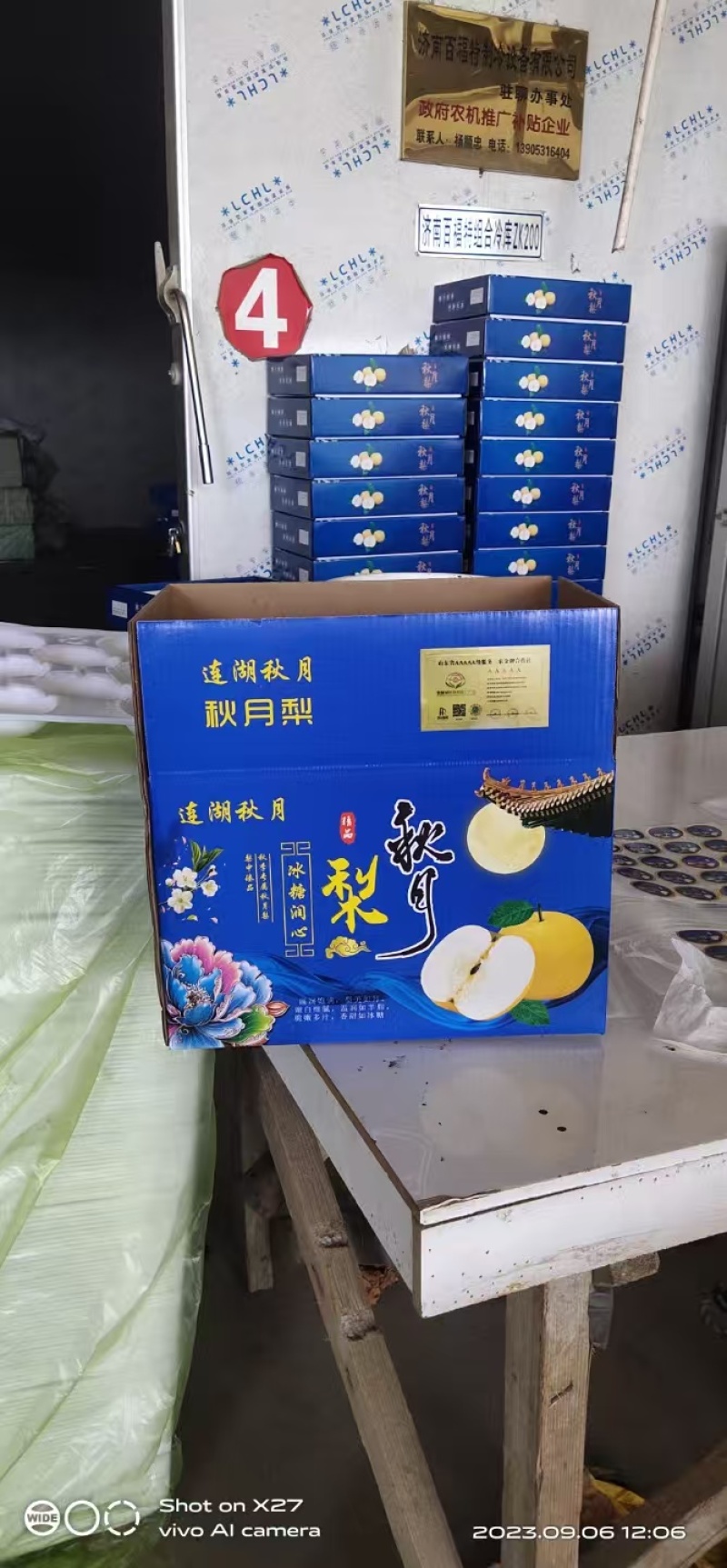 《畅销推荐》正宗山东秋月梨基地直发对接商超团购一条龙