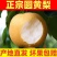 《畅销推荐》山东圆黄梨对接商超电商团购一条龙