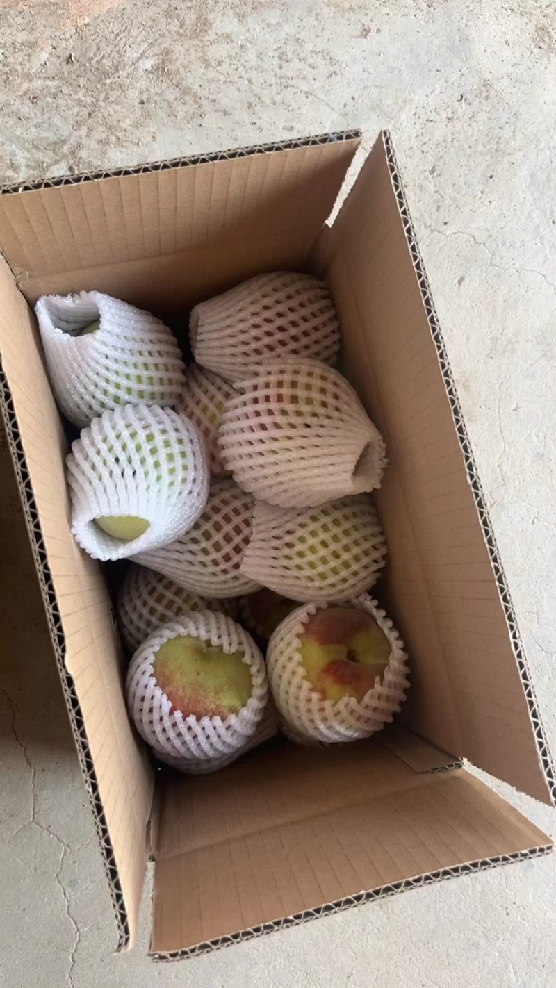脆甜青州蜜桃一件代发耐运输耐储存现货现发