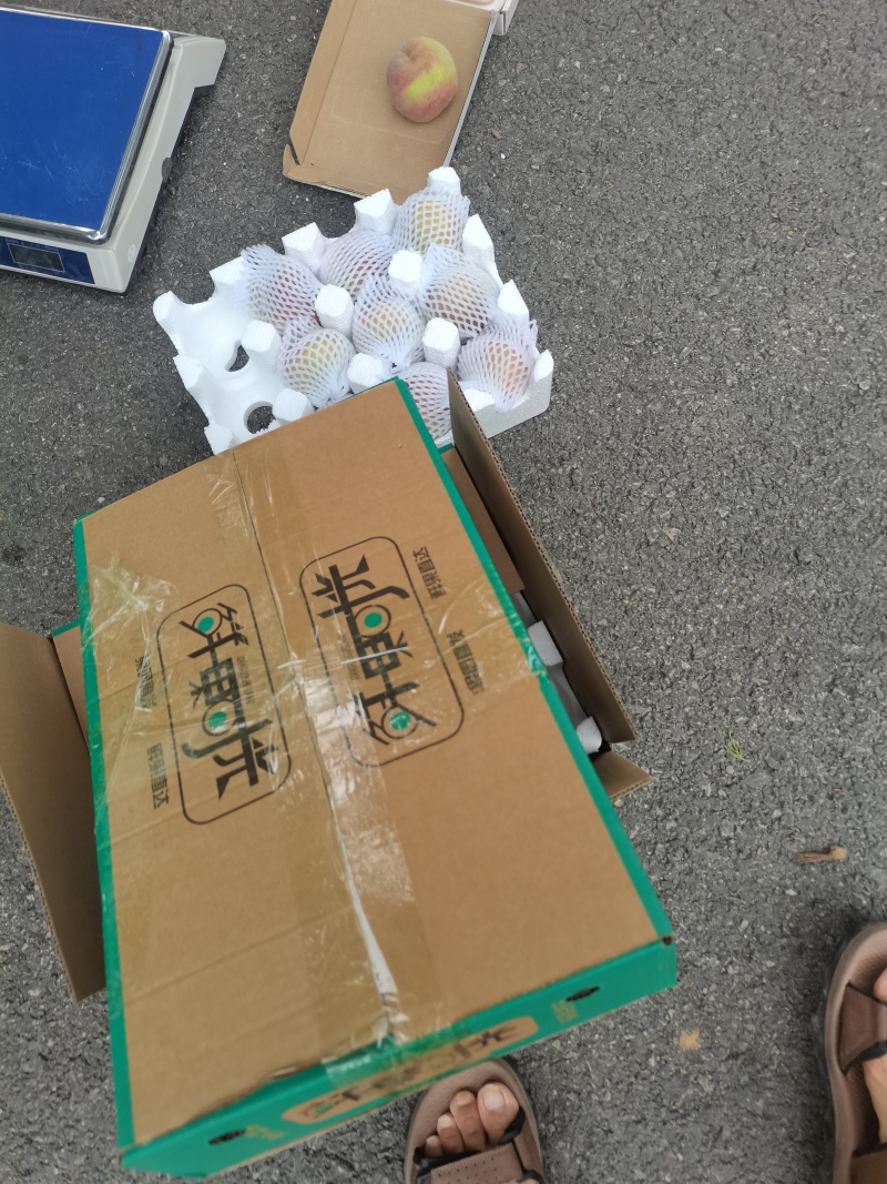 脆甜青州蜜桃一件代发耐运输耐储存现货现发