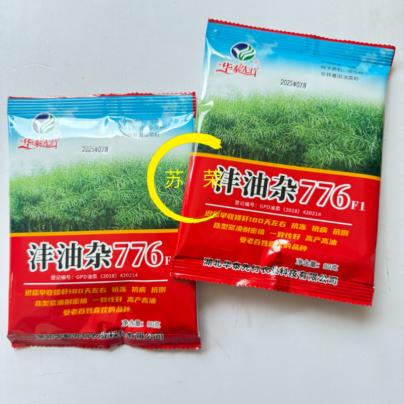 沣油杂776油菜种子矮杆高产油多不倒伏油菜花孑榨油秋播