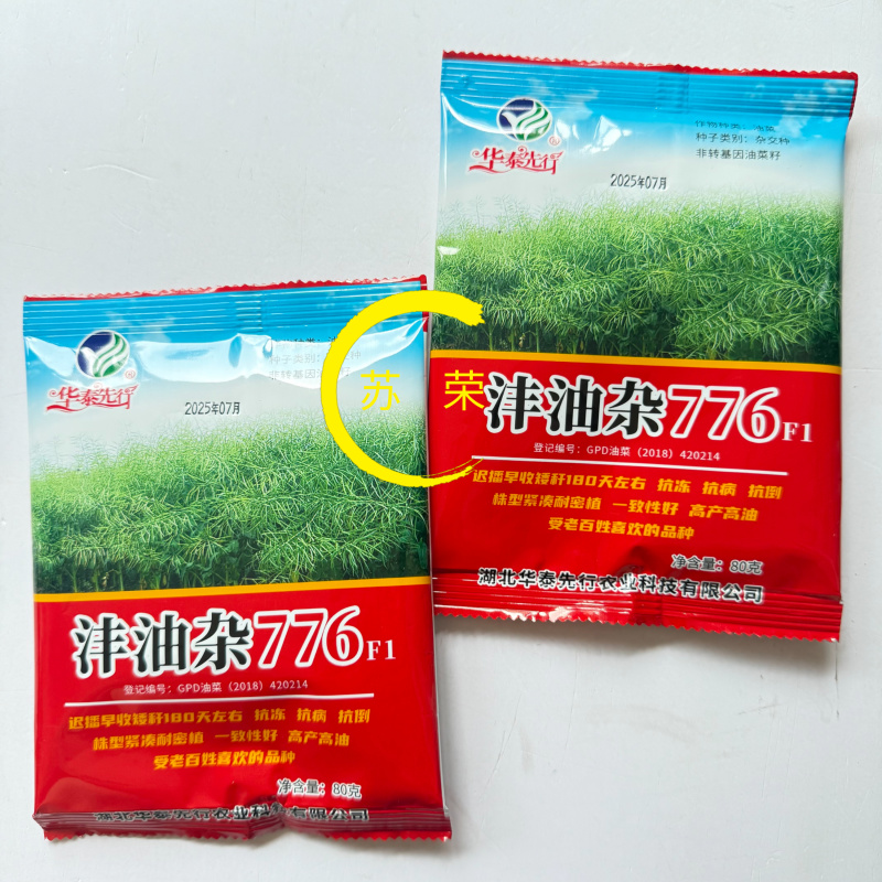 沣油杂776油菜种子矮杆高产油多不倒伏油菜花孑榨油秋播