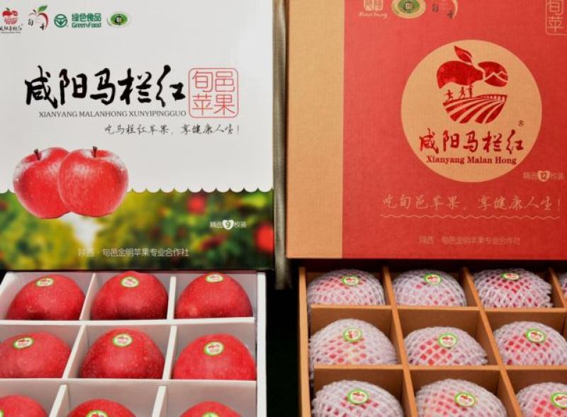 红色革命圣地，旬邑县的苹果品种丰富，欢迎品尝