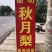 秋月梨开园
