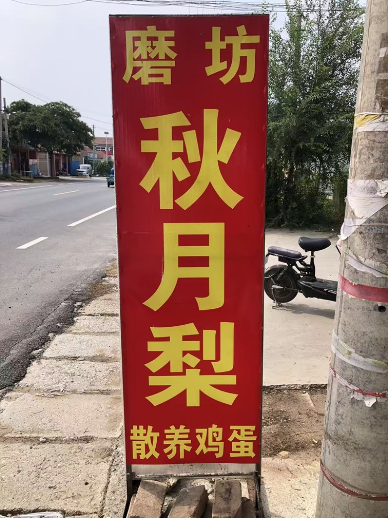 秋月梨开园