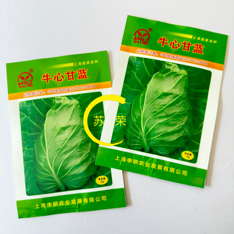 长征牛心甘蓝种子一代杂交牛心包菜丰产抗病抗逆性好冬性强