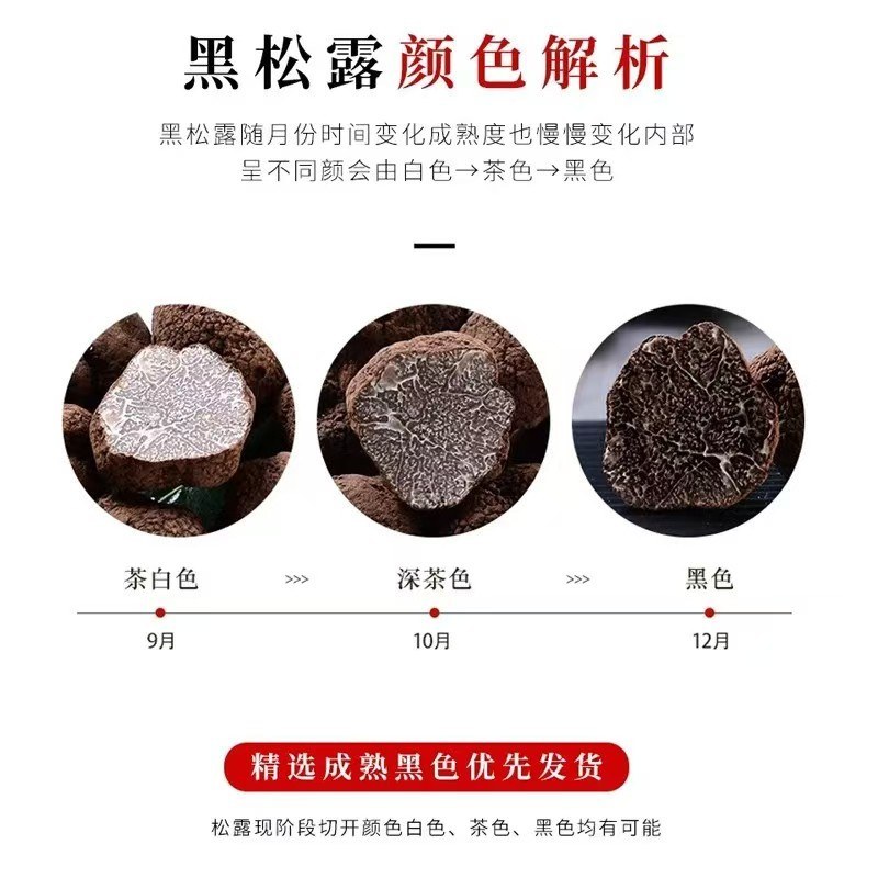 【云南香格里拉黑松露】东方山珍瑰宝北纬27°的森林