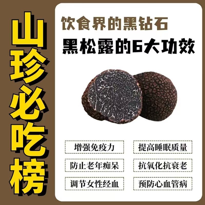 【云南香格里拉黑松露】东方山珍瑰宝北纬27°的森林
