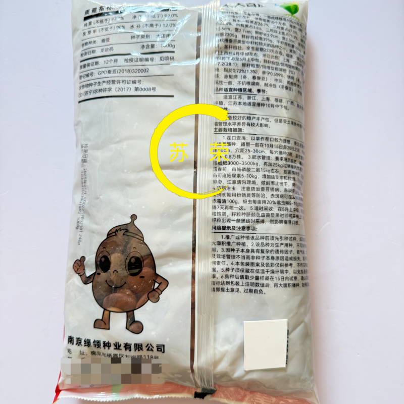 日本大白皮蚕豆种子高产抗病耐寒春秋冬季播胡豆籽蚕豆蔬