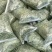 晒干提摩西草碎兔子草段豚鼠兔兔干草粮嫩绿多杆龙猫宠物磨牙