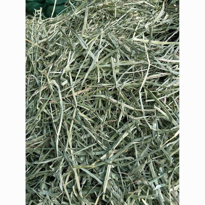 晒干提摩西草碎兔子草段豚鼠兔兔干草粮嫩绿多杆龙猫宠物磨牙