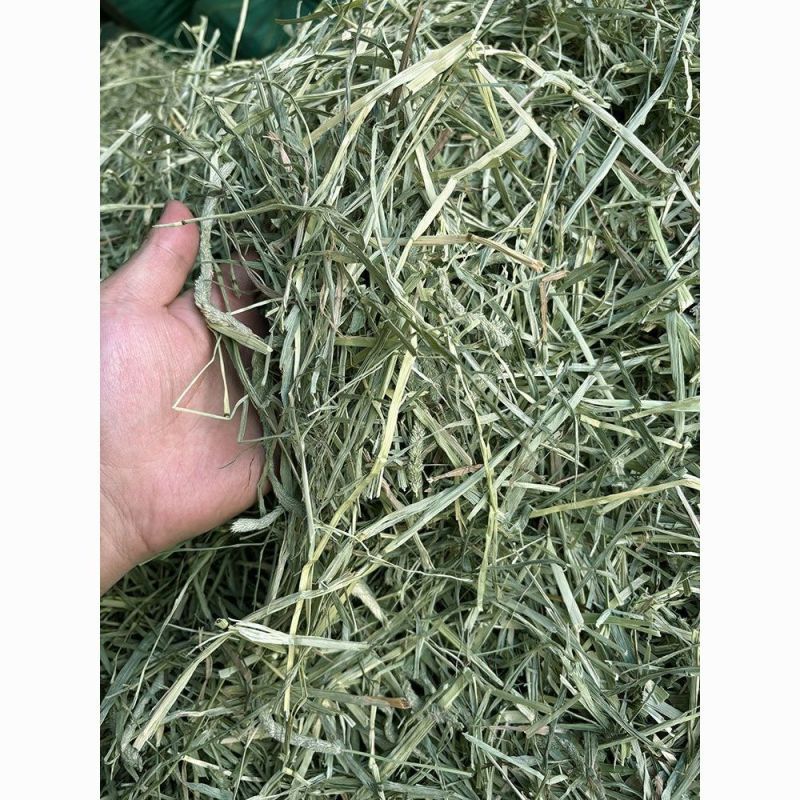 晒干提摩西草碎兔子草段豚鼠兔兔干草粮嫩绿多杆龙猫宠物磨牙