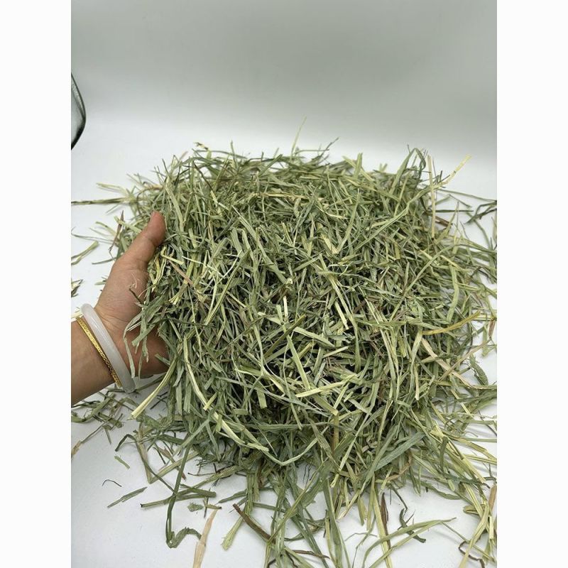 晒干提摩西草碎兔子草段豚鼠兔兔干草粮嫩绿多杆龙猫宠物磨牙