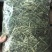 晒干提摩西草碎兔子草段豚鼠兔兔干草粮嫩绿多杆龙猫宠物磨牙