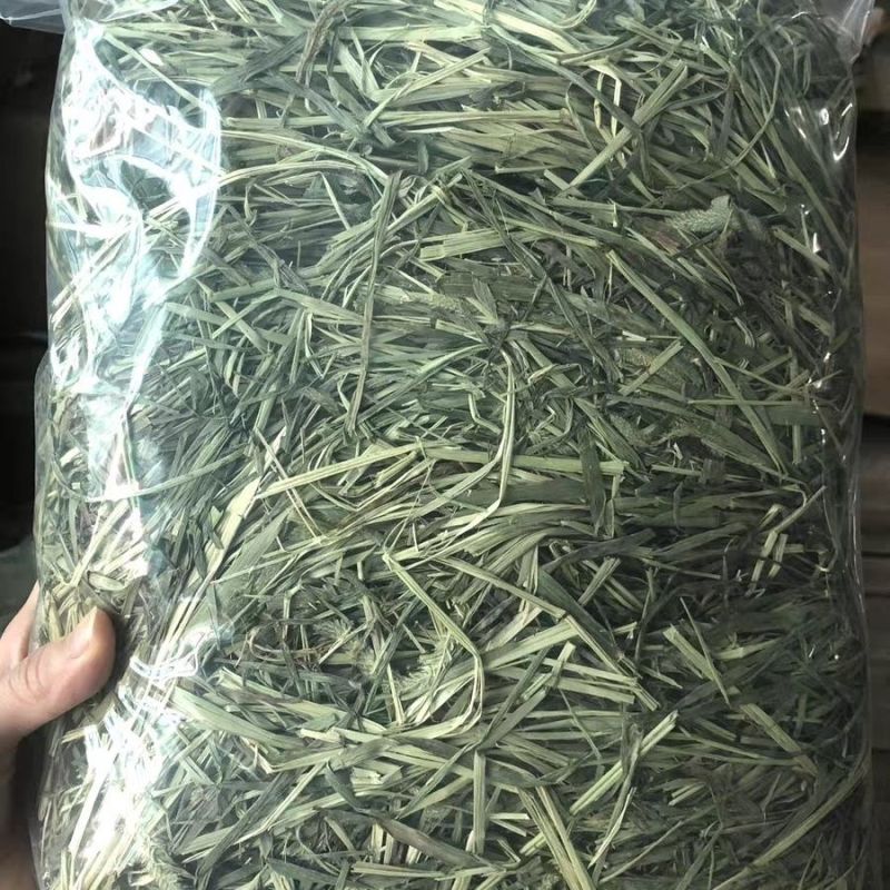 晒干提摩西草碎兔子草段豚鼠兔兔干草粮嫩绿多杆龙猫宠物磨牙