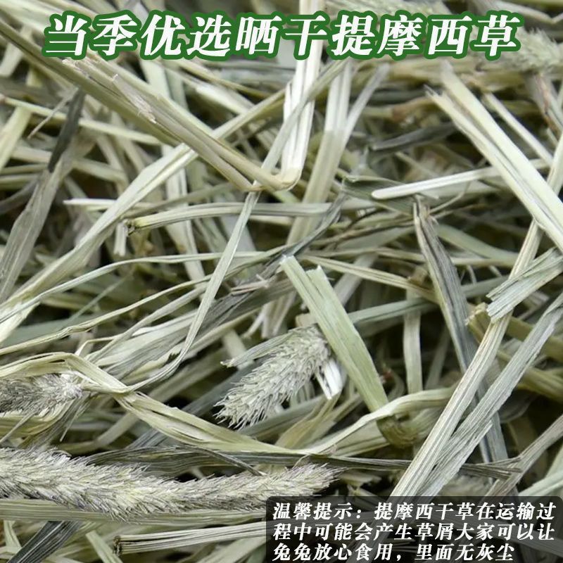 晒干提摩西草碎兔子草段豚鼠兔兔干草粮嫩绿多杆龙猫宠物磨牙