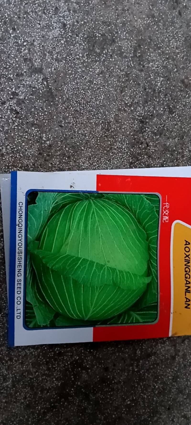 甘蓝莲花白菜苗成活率高耐运输诚信经营欢迎咨询