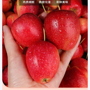 鸡心果