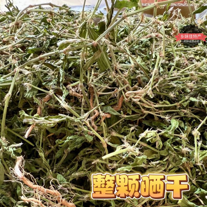 新货萹蓄草正品猪牙草当季野生整颗晒干发货
