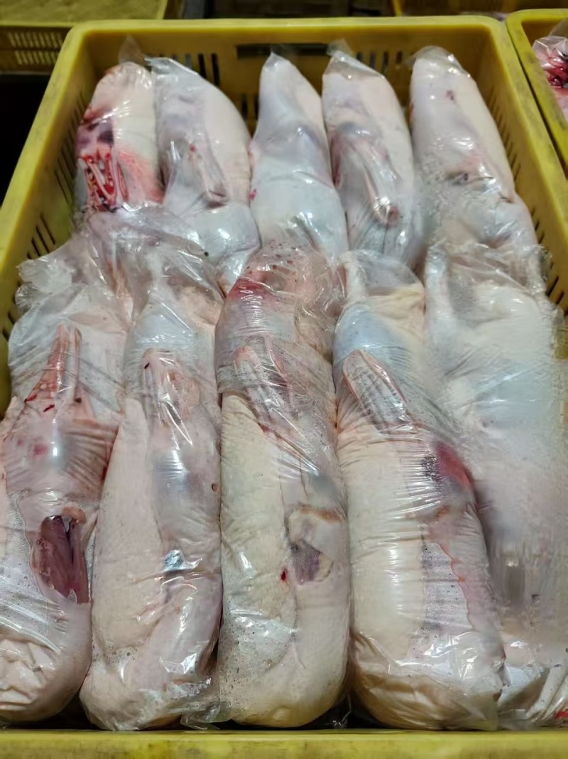 三级白条鸭