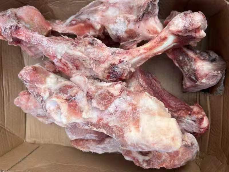 杂骨有腿骨棒骨尾查骨