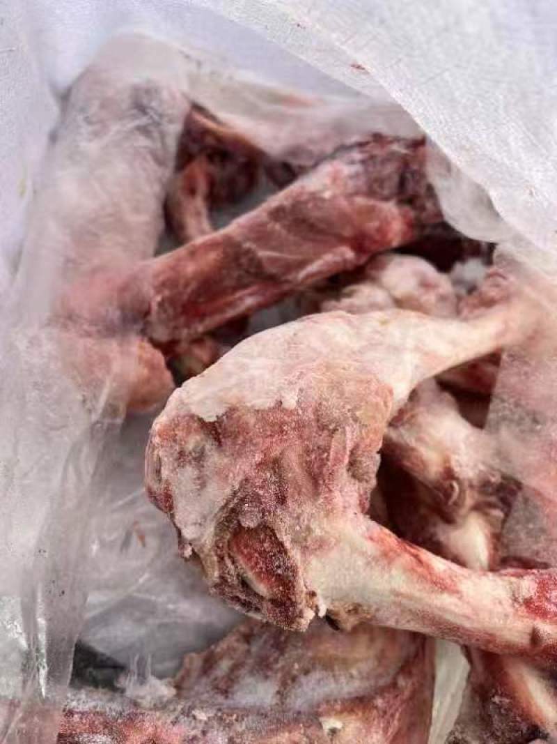 杂骨有腿骨棒骨尾查骨