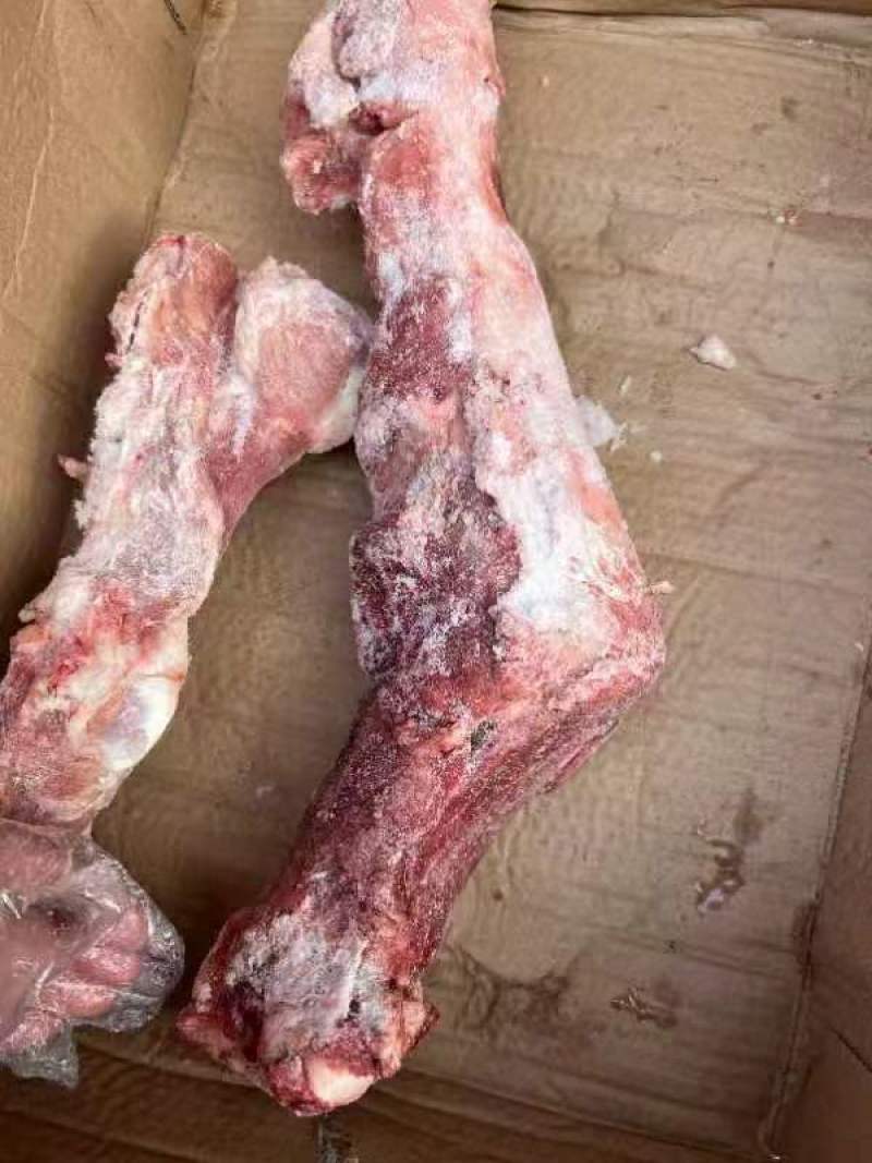 杂骨有腿骨棒骨尾查骨