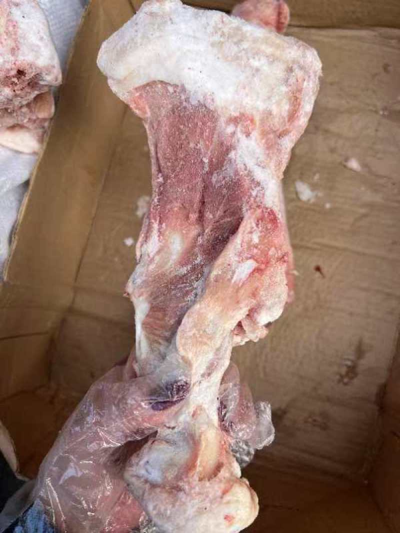 杂骨有腿骨棒骨尾查骨