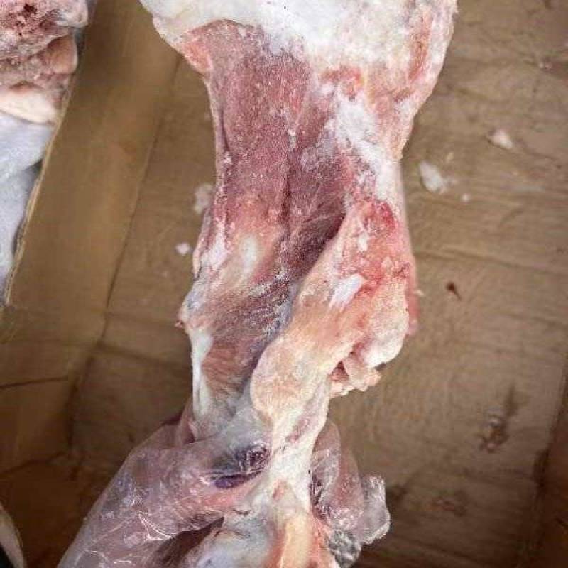 杂骨有腿骨棒骨尾查骨